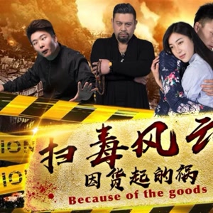 扫毒风云之因货起的祸免费观看